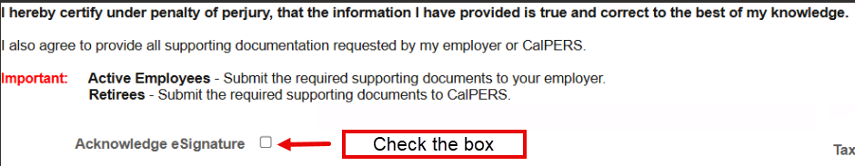 eSignature check box